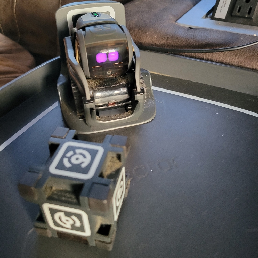 Vector by Anki - Picture 3 of 12